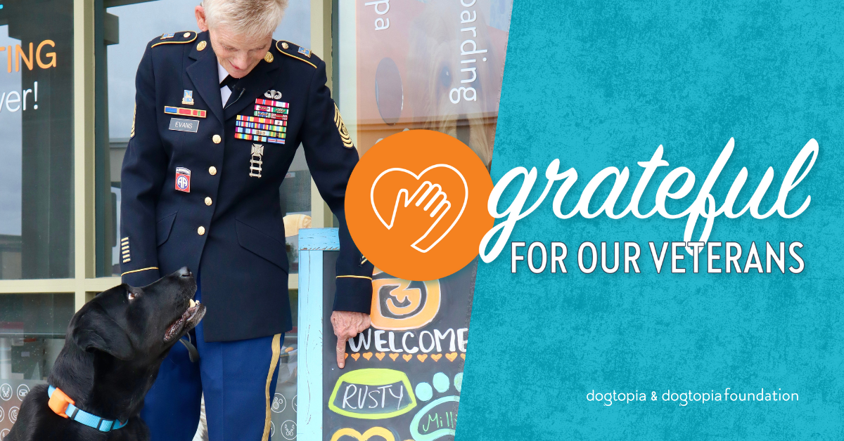 3640cd5d-bd90-4eda-9c2a-89b27e5e1089 image