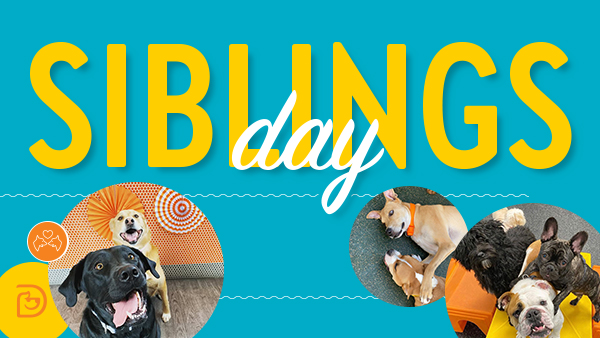 1a2ba030-eacd-4f3c-9ff9-119b48d4acbf image