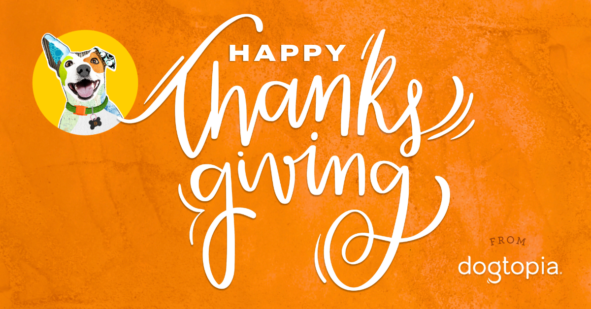 bd912b4a-29d9-4f31-889d-02d0b618b4df image