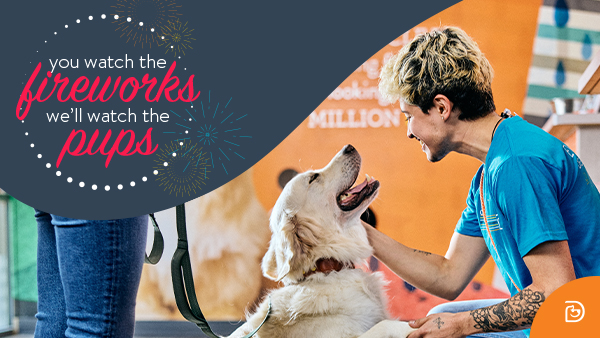 8257f5fa-5b1b-4b6d-91aa-8fdf640fc4d0 image