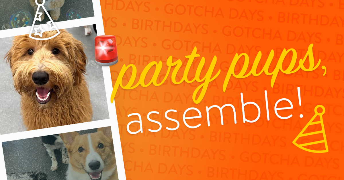 35e00675-3812-4dbc-9ead-547b4fcca7db image