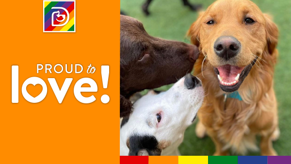 68d5d9ef-af65-4706-992e-982c4bfa30f9 image