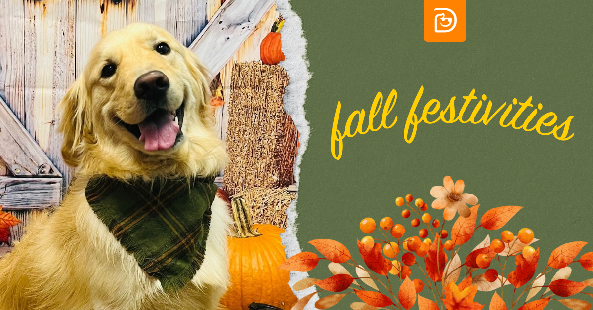 98ac5f08-9c3f-4d51-a85c-bca140bfae6d image