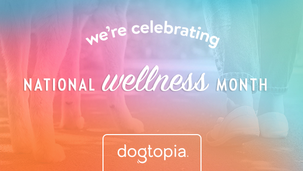 cbd6eb77-85db-407d-8d5a-a344a0014b1b image