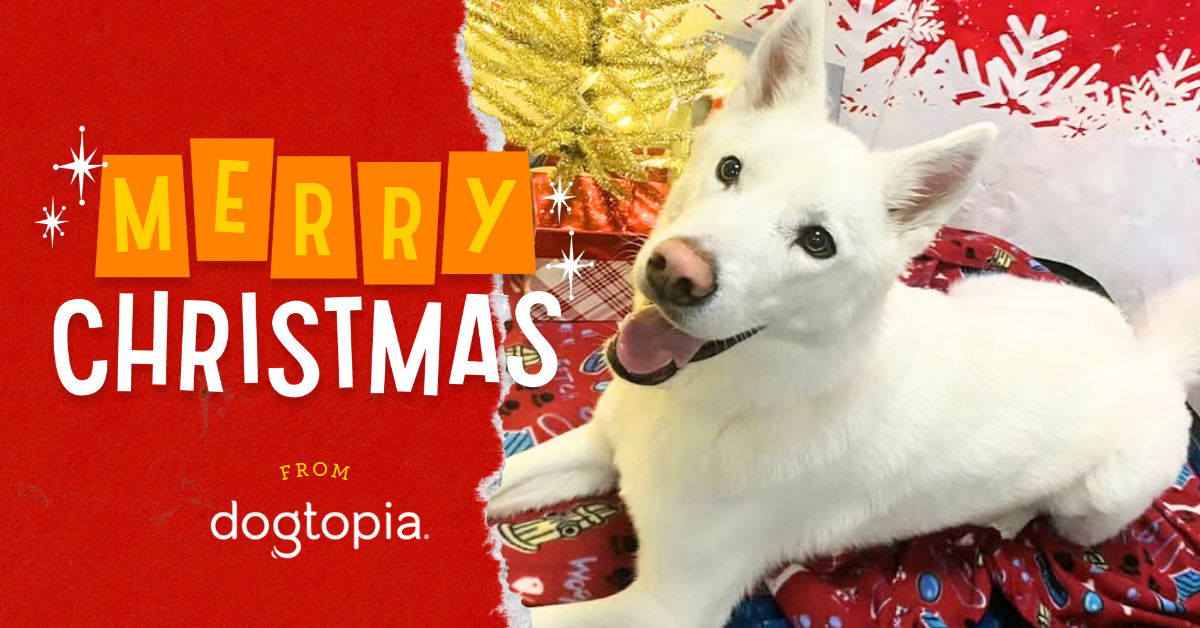 fdeb4cf1-f1ad-46f6-b0df-4d290f5f2a00 image