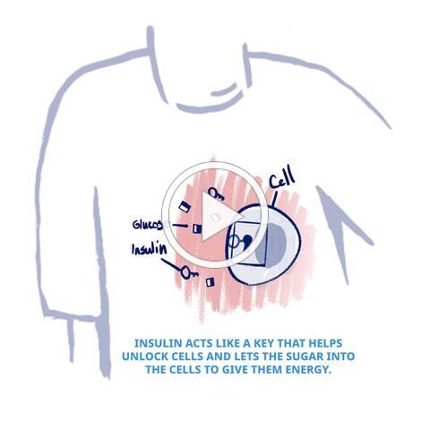 Could Your Achs Be The Key To Preventing Diabetes - 0uoyn08