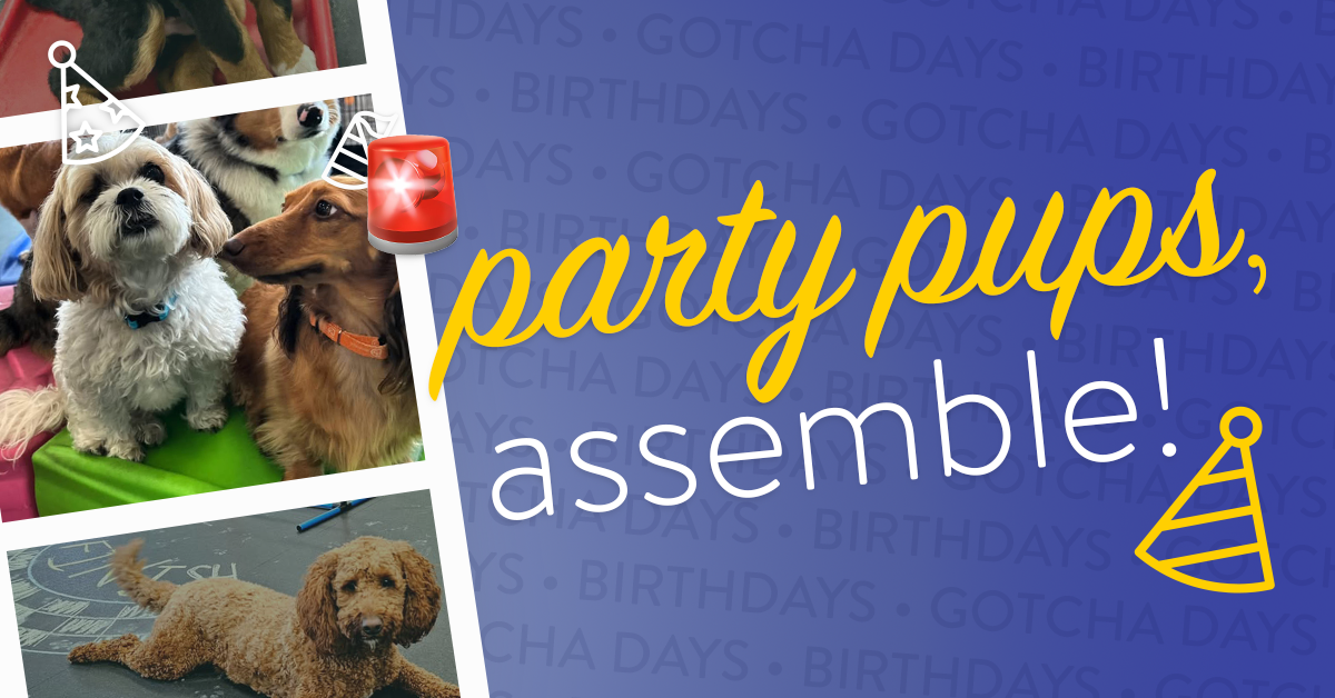 7c0202d5-24fa-4345-9b8d-f931a3a6a573 image