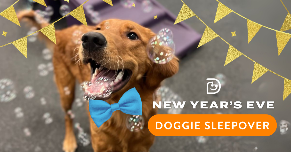 53d19a30-3ec7-4dc5-ae8a-3c428234b19a image