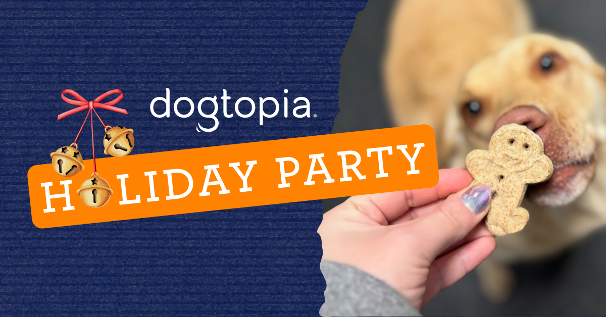 a86a2c97-f83e-4c39-a474-7b15e24fd16f image