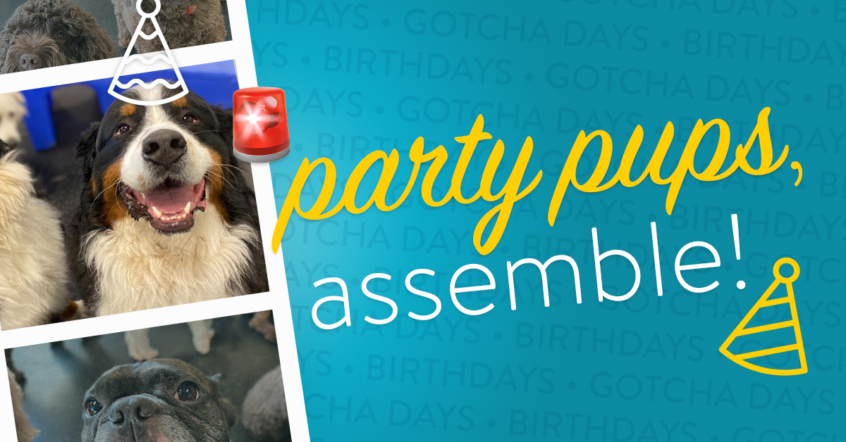 3cdc5db4-ba1d-4ce5-bf01-54a0d1ba42cd image