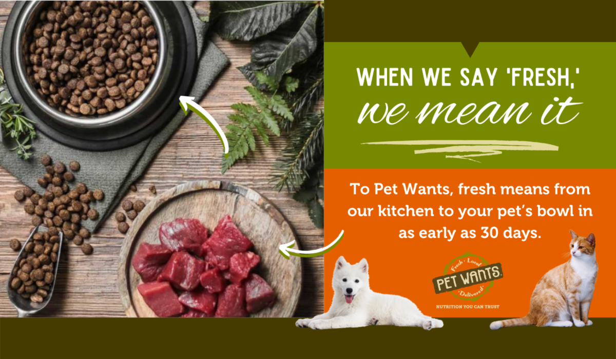 when we say fresh email graphic 1200x700 _1_.png