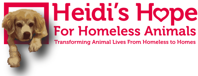 Heidi_s Hope Logo --Jeanine 2020.png