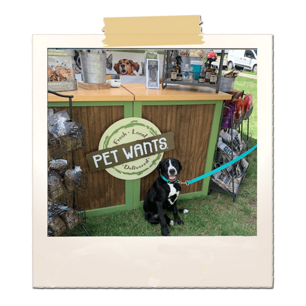 Spring into Wellness